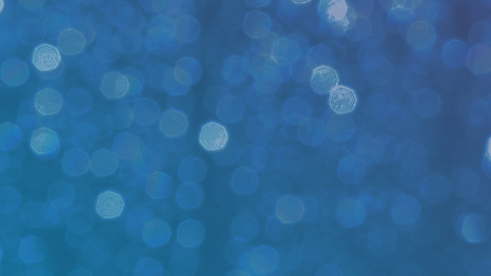 quinnie &#8211; The Paper Doll Tour