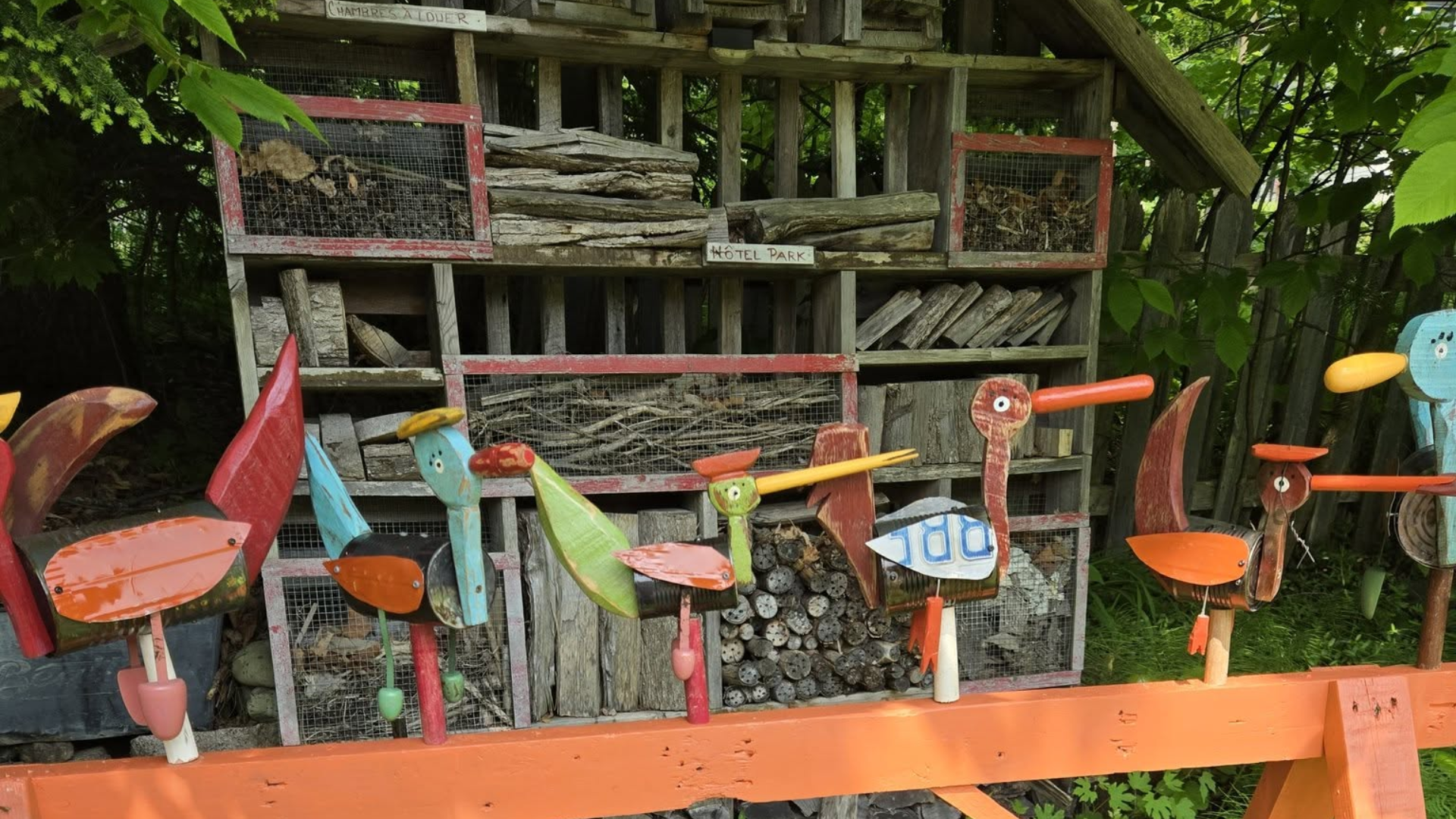 Samedi de créer : nous sommes aux oiseaux