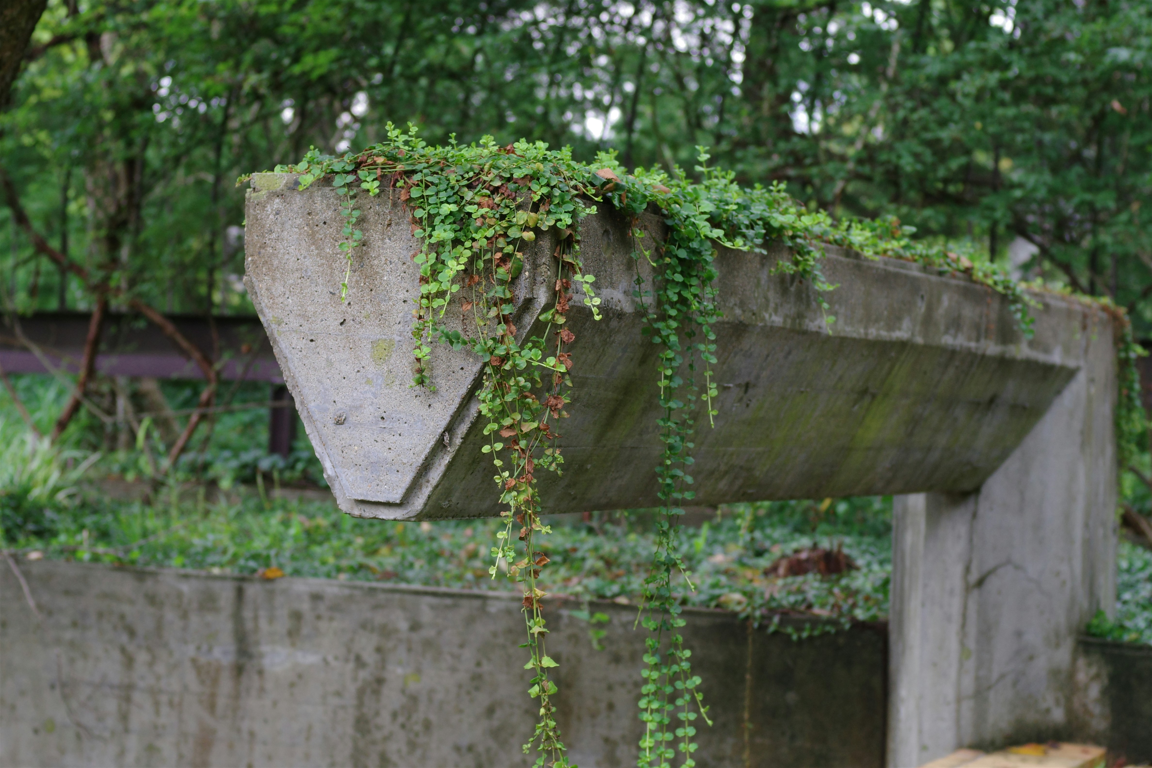 Entre ville et nature