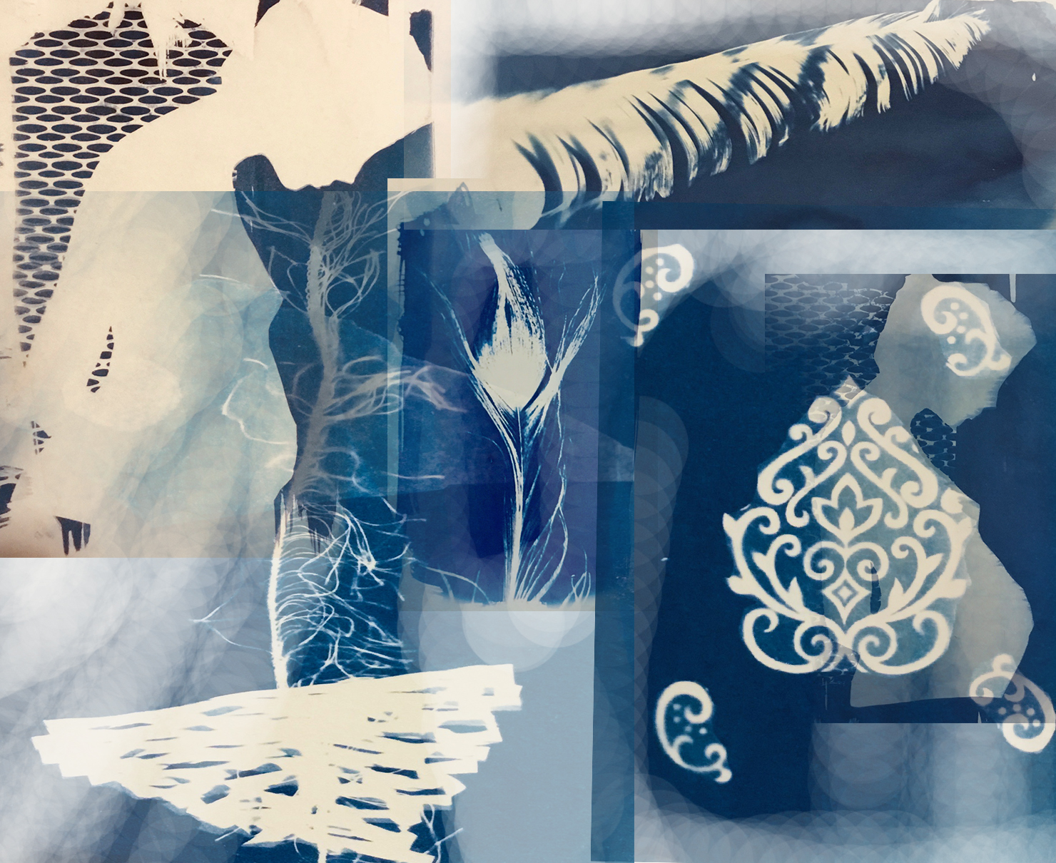 Démonstration &#8211; Cyanotype