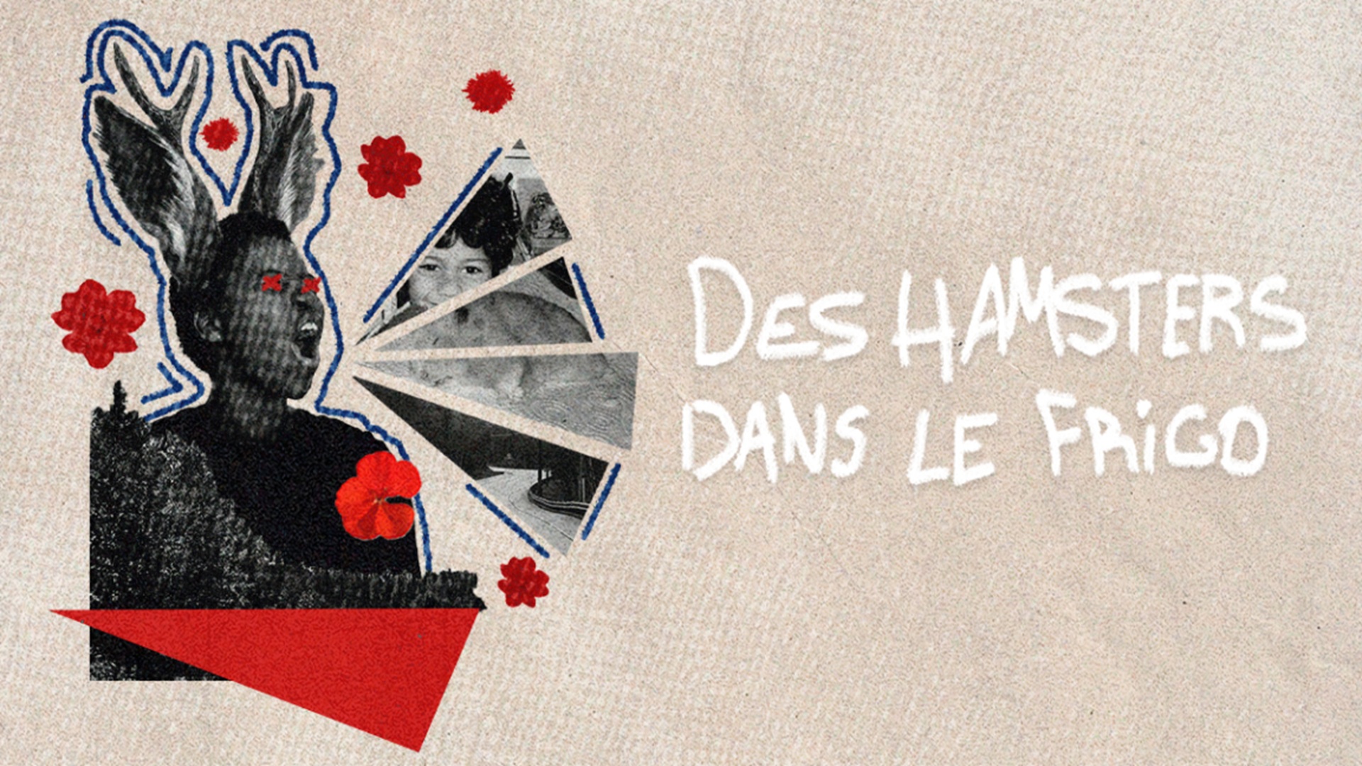 Des hamsters dans le frigo