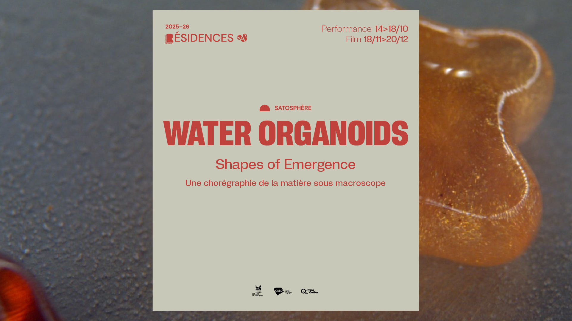 Water Organoids (performance)