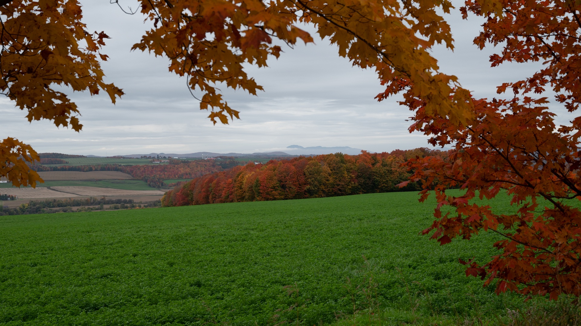 Regard d’automne - Atelier de photographie naturaliste