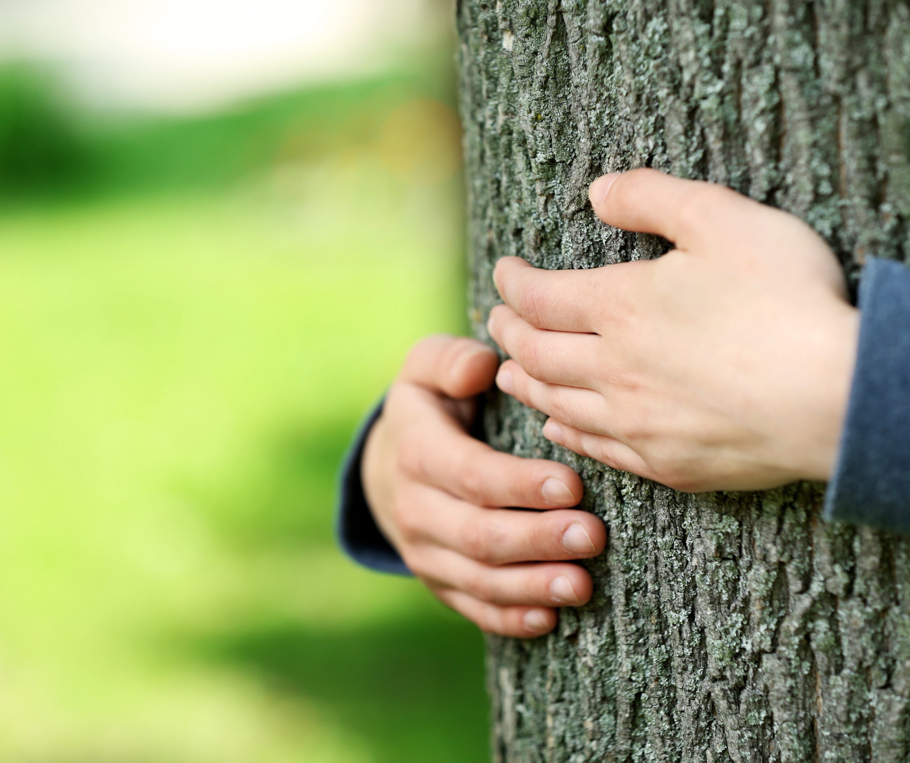 La nature fait du bien !