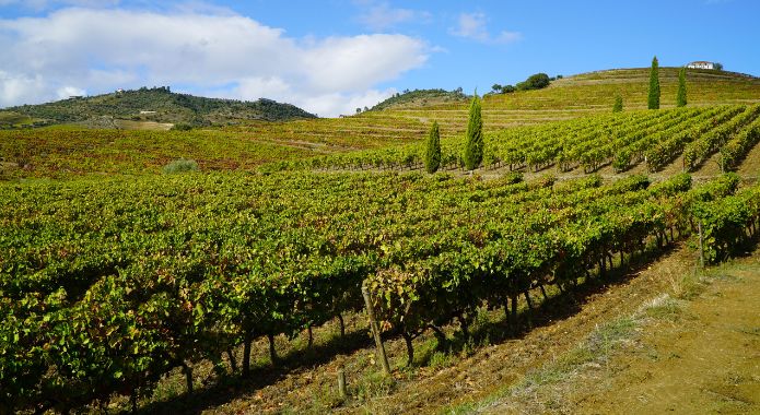 Philippe Laprise au Portugal