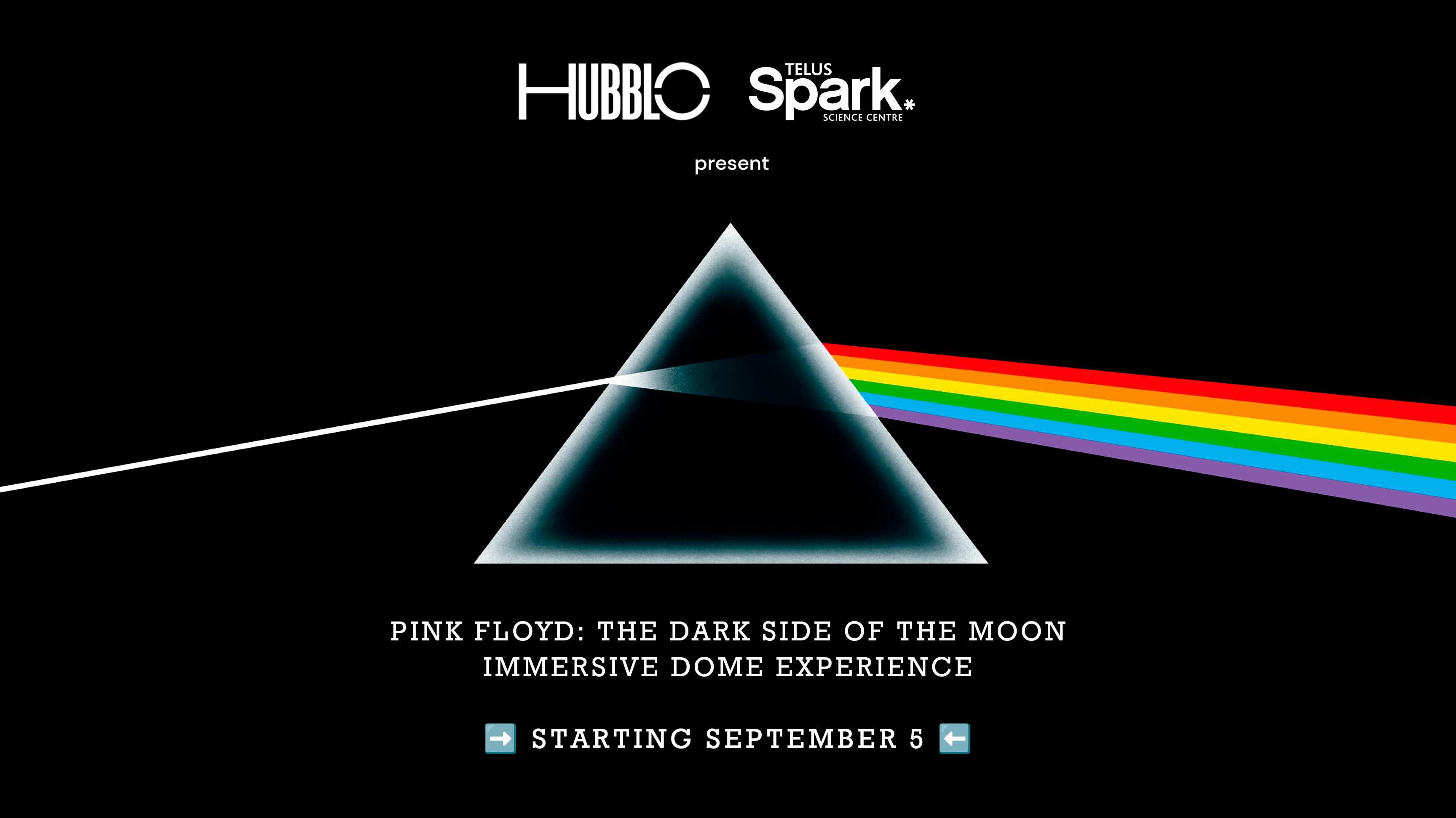 dark side in the moon pink floyd