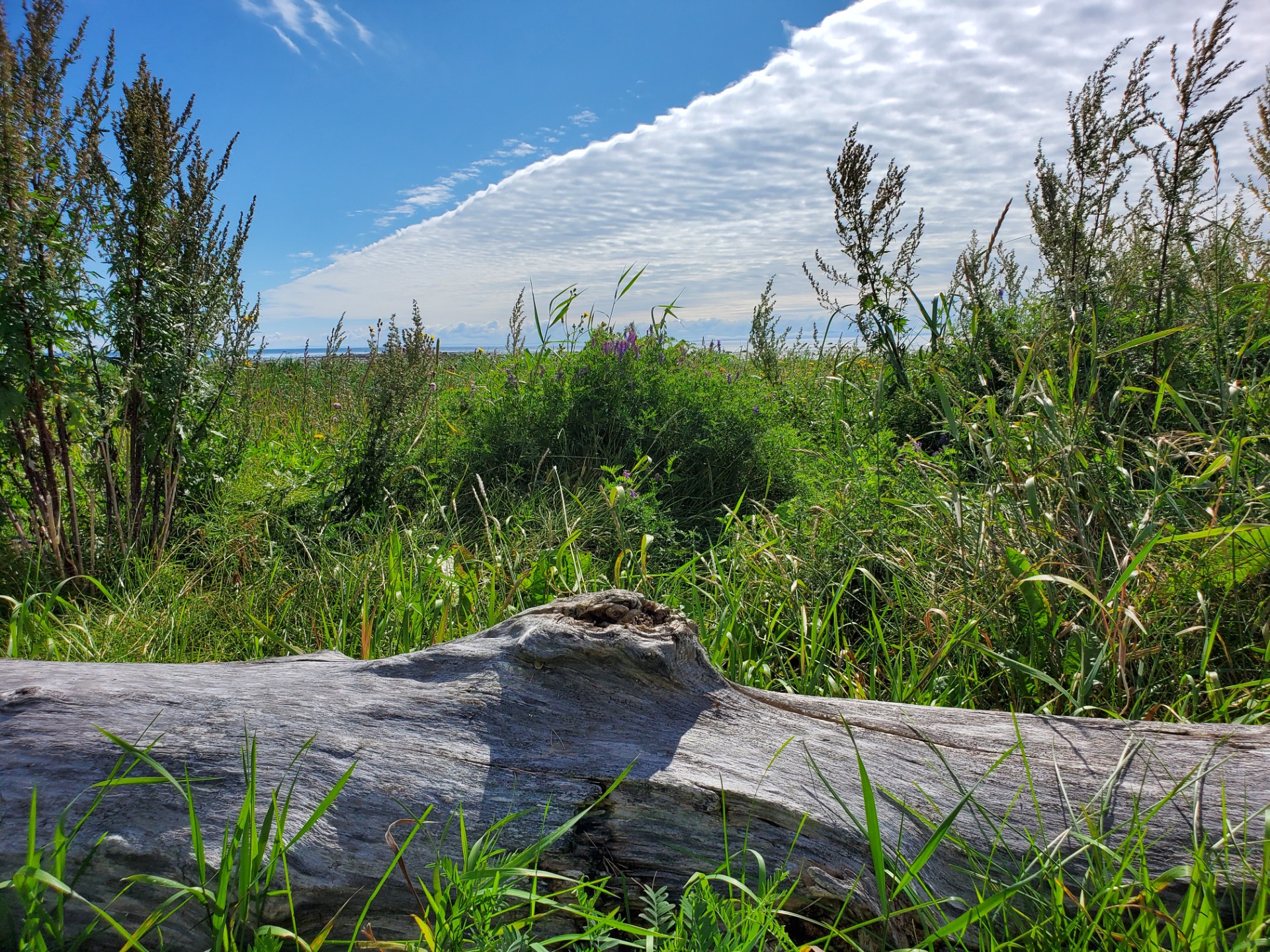Tricoteuse d&#8217;histoire