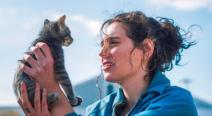 Eva Victor | Désolée, bébé