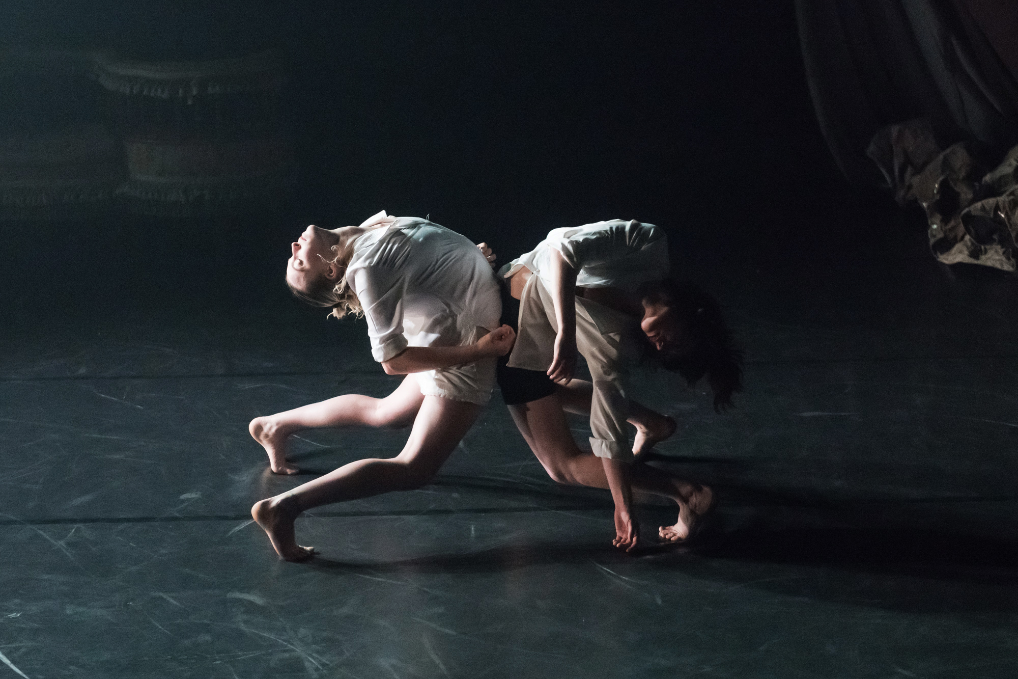 Play Dead de People Watching