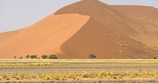 Les Aventuriers voyageurs | Botswana-Namibie : De la brousse au désert