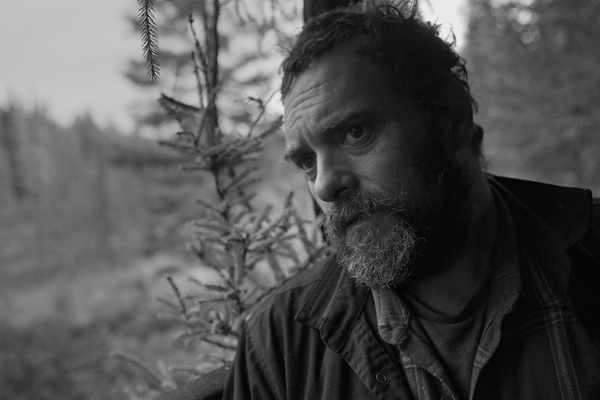 Des chats sauvages &#8211; Steve Patry