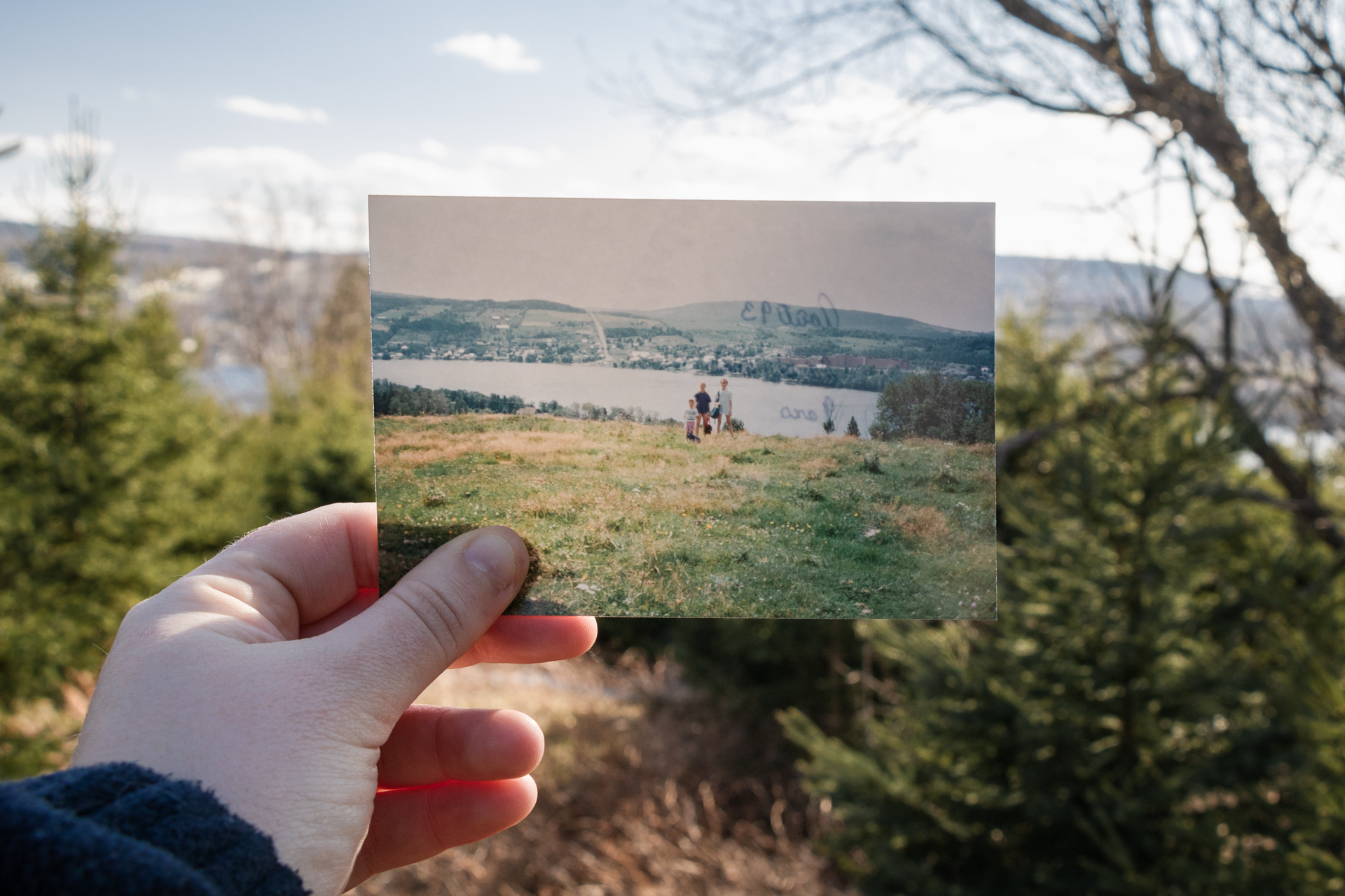 Des nichoirs en héritage