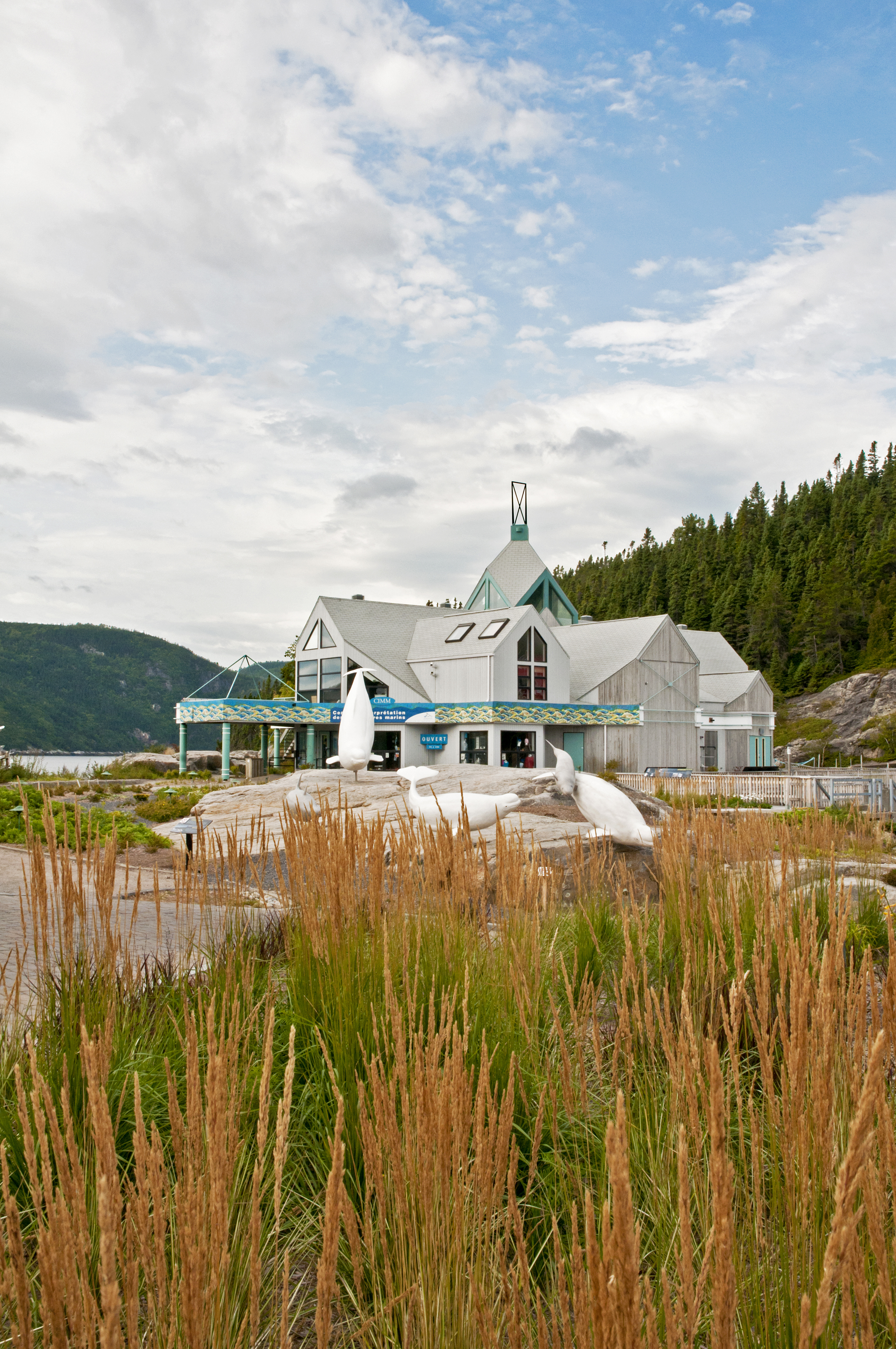 Atelier de Sérigraphie de Baleine avec Marine Hoibian