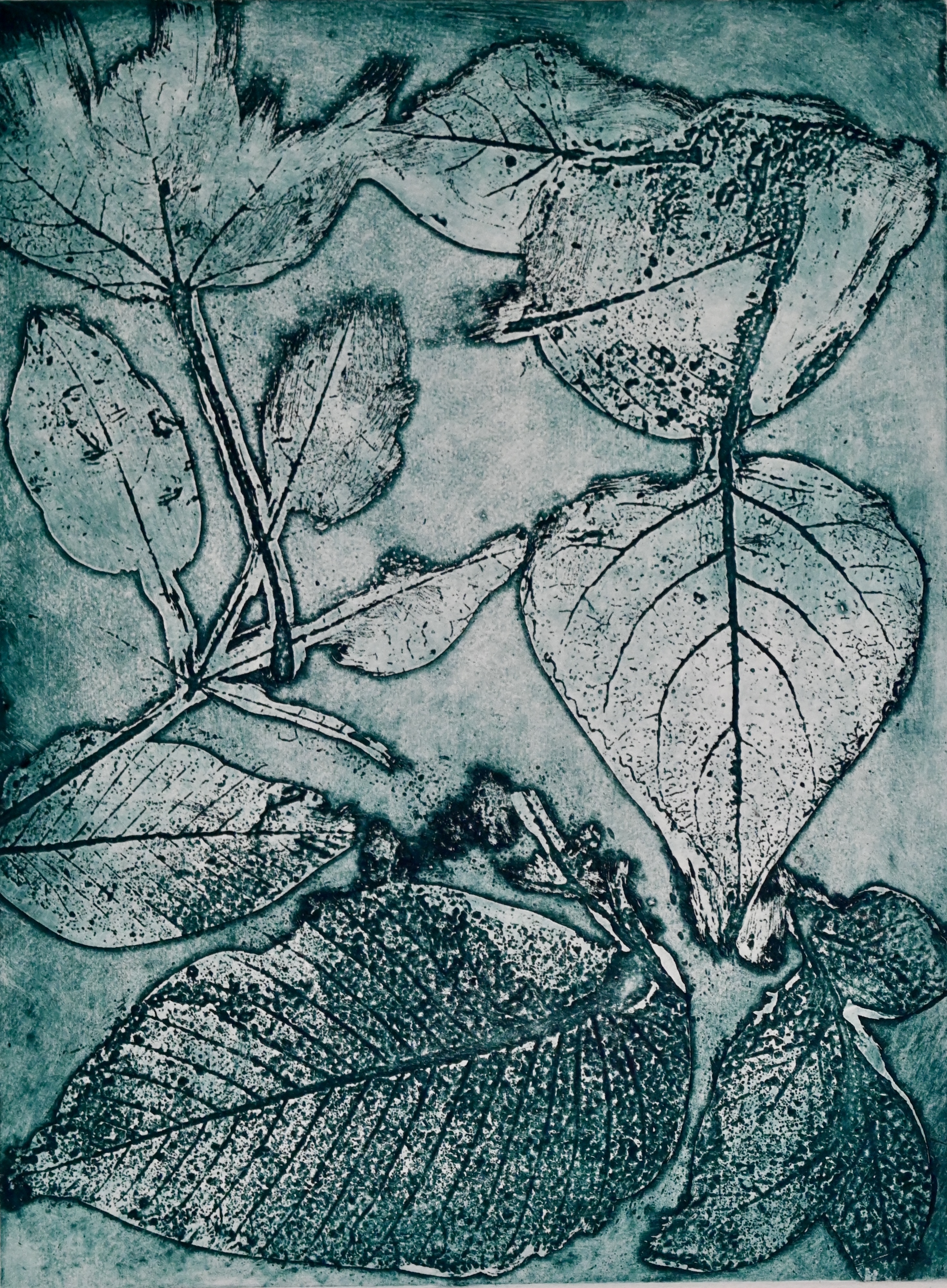 Estampes : nature et récupération