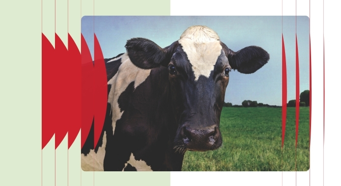 Atom Heart Mother et autres classiques du rock progressif &#8211; Trio RCM avec le Chœur Ad Vitam