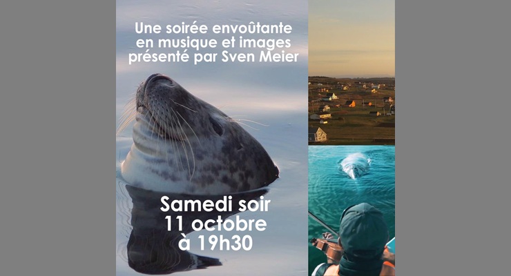 Le phoque et le violon (Projection ciné et musique)