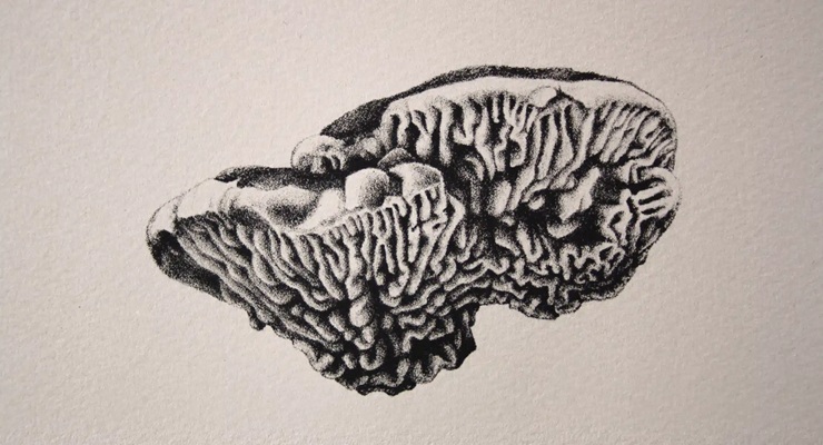 Catherine Magnan &#8211; Je suis un arbre