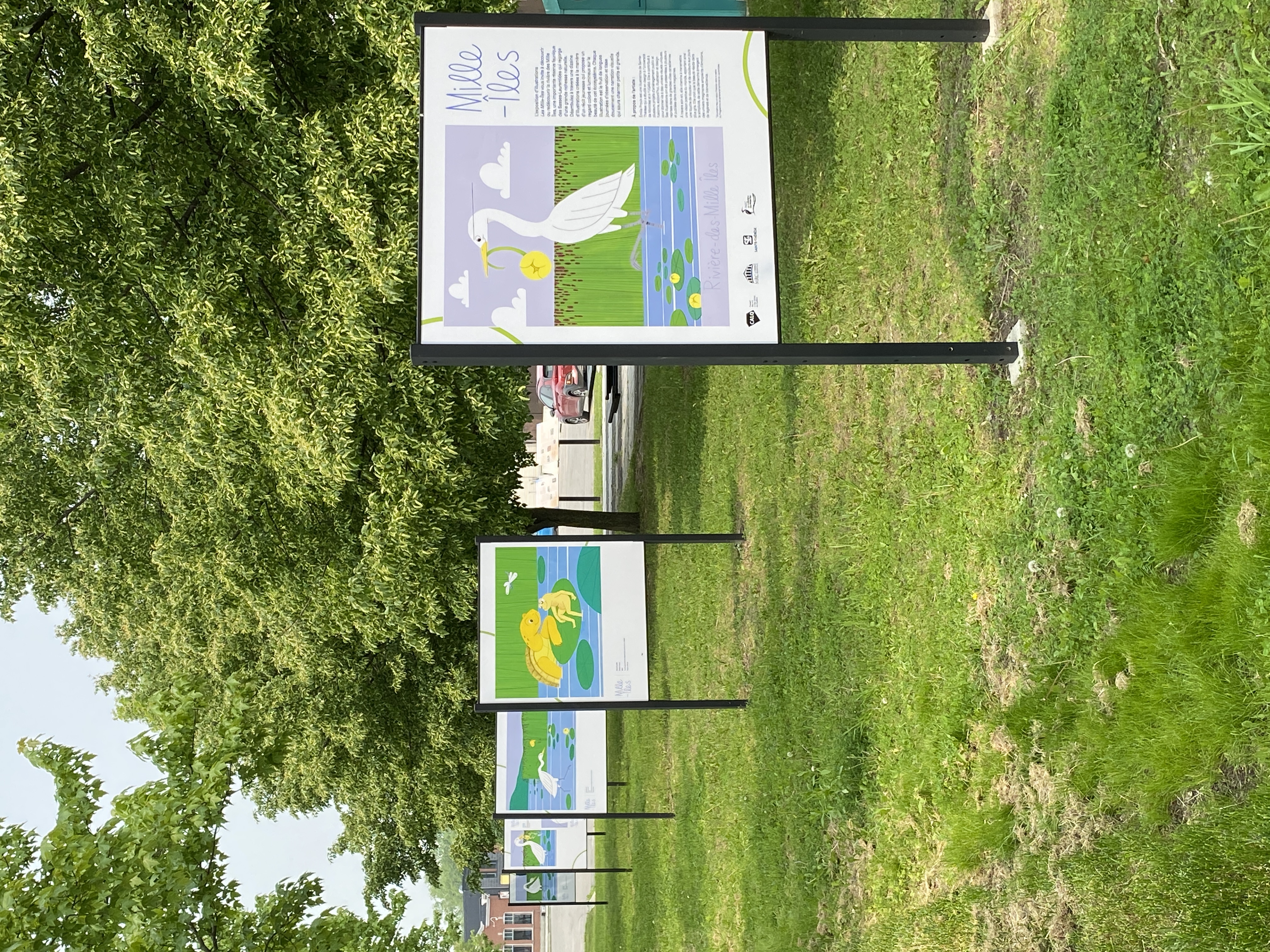 Exposition Mille-Îles de l’illustratrice Émilie Proulx