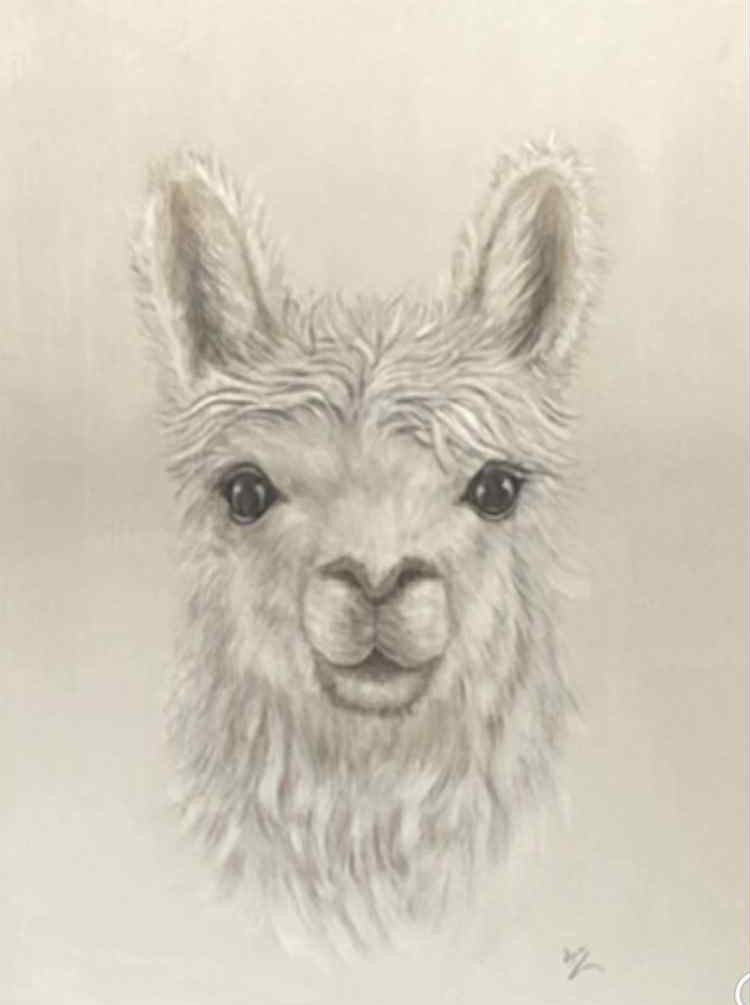 Ma douceur dans mes tableaux