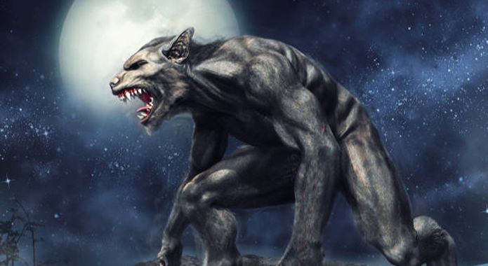 Bizarreries de l’histoire pointelière