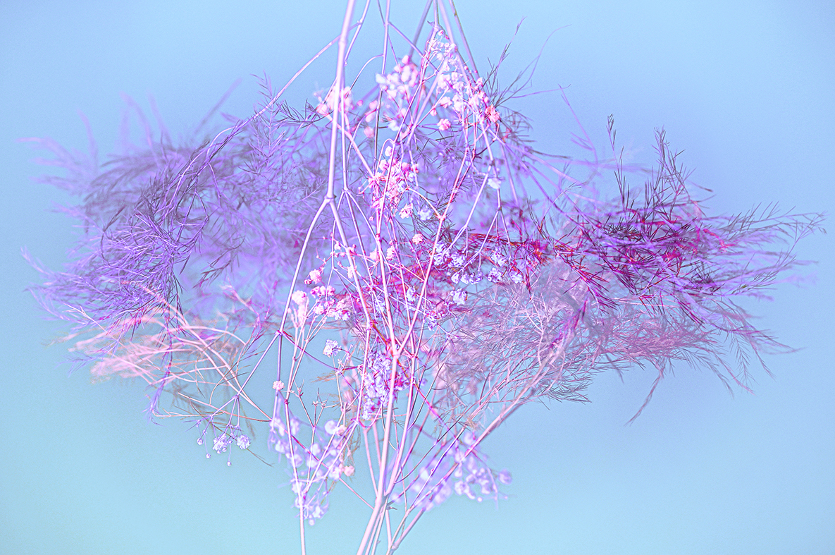 Collage Party et finissage de l&#8217;exposition « Fleurs » avec Christian Leduc