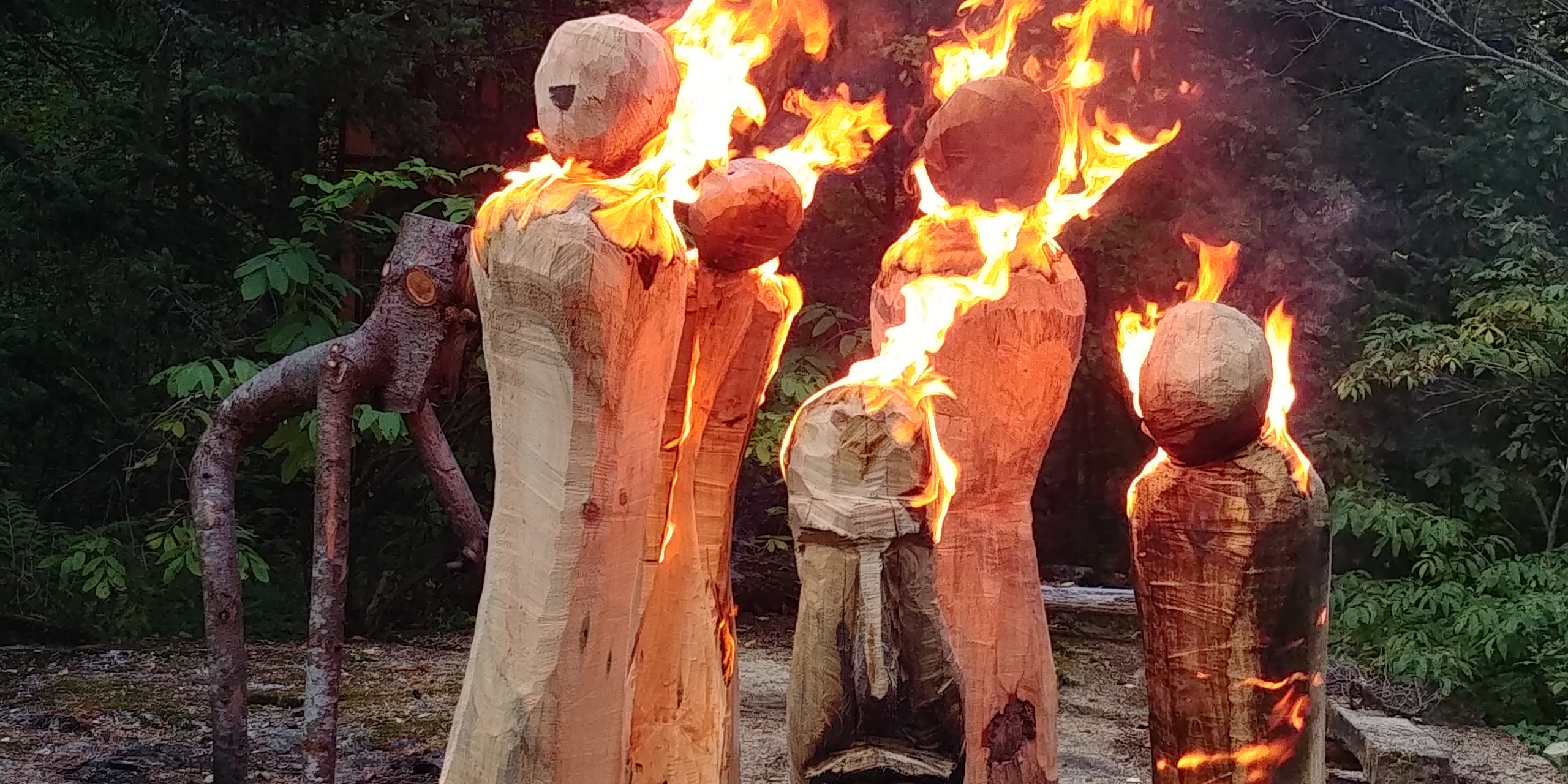 Les balais de sorcières