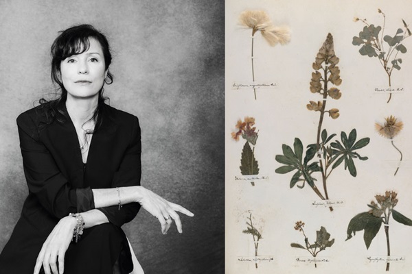 Emily, fille de personne