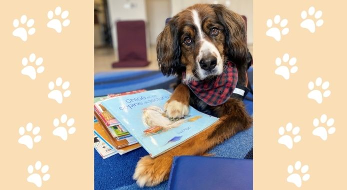 Par Margaux Willame de Pattes &amp; Crayons