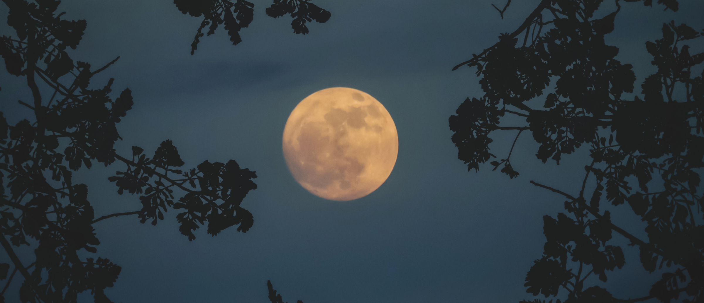 L’île des morts à l’OSM