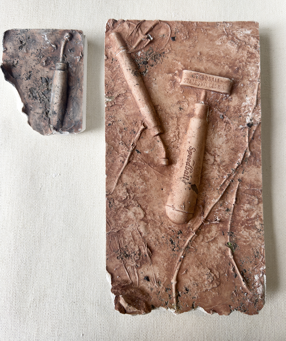 Laissez une impression durable ! Fabriquez et imprimez un fossile.