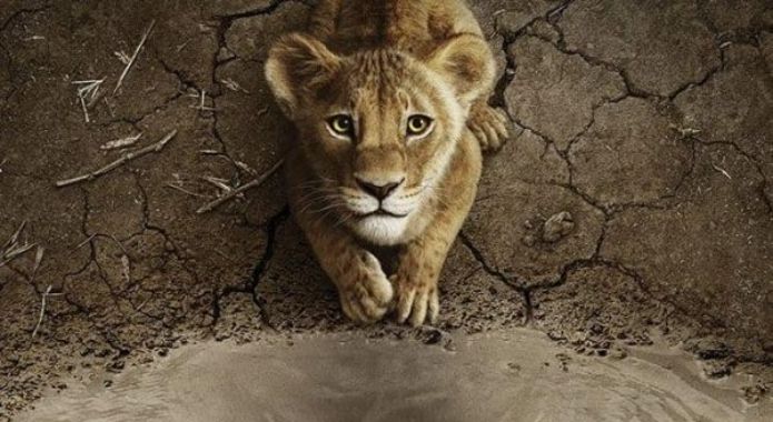 Ciné-pédago - Musafa : le Roi lion