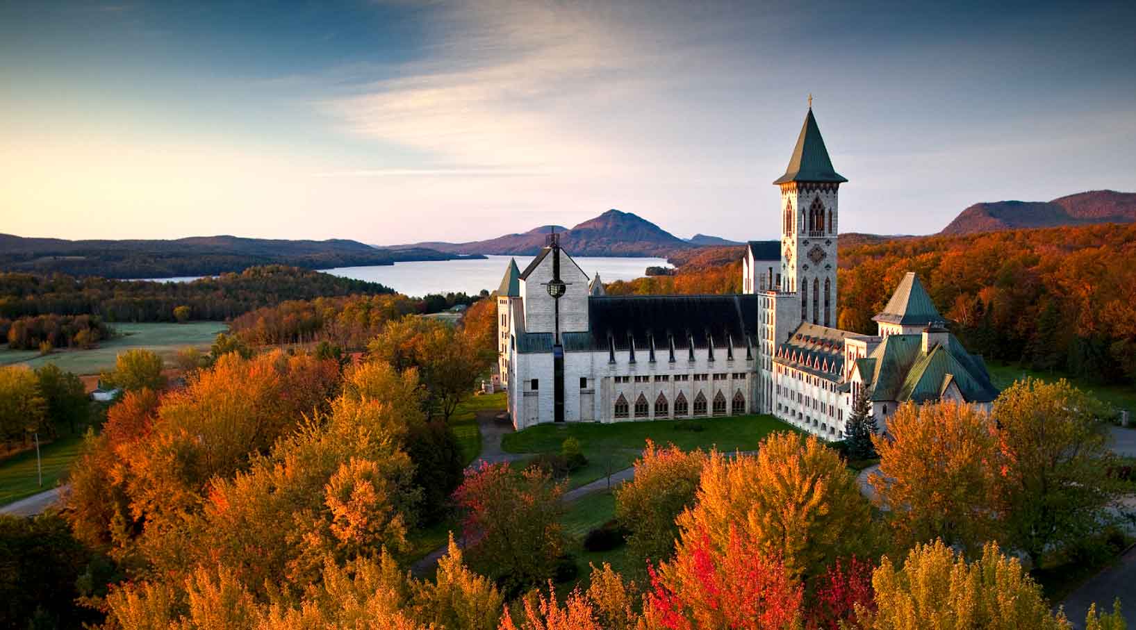 SMAM : La rose et la plume