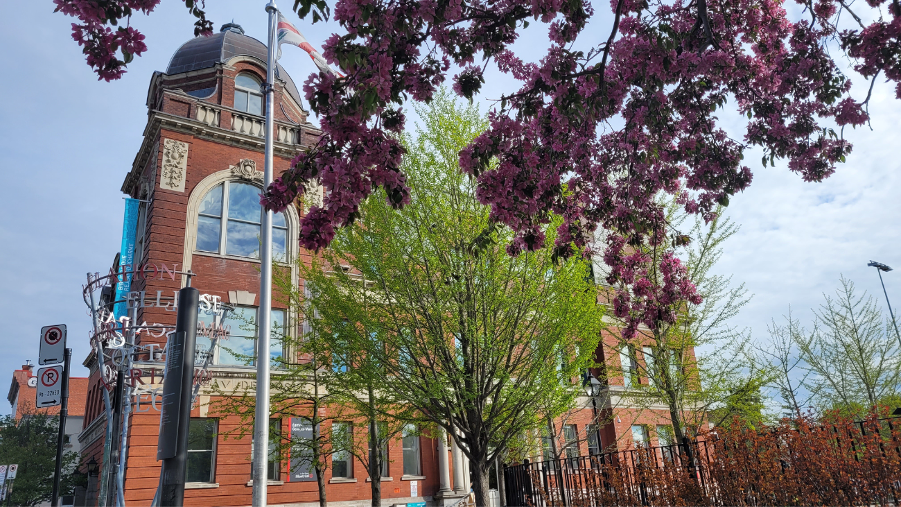 Bibliothèque Réjean-Ducharme